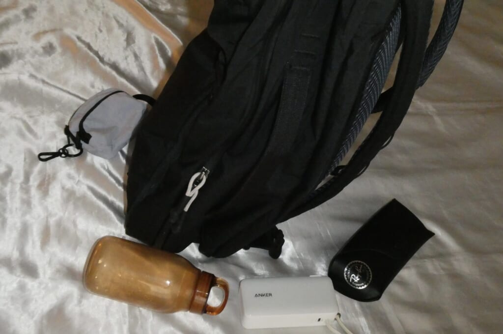 Bellroy Lite Travel Pack 38L