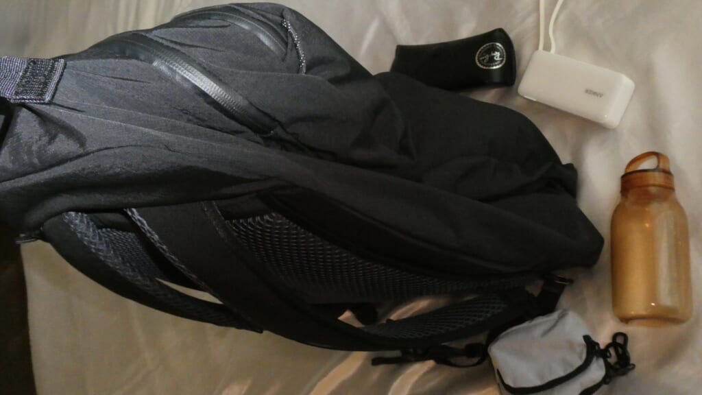 Bellroy Lite Travel Pack 38L