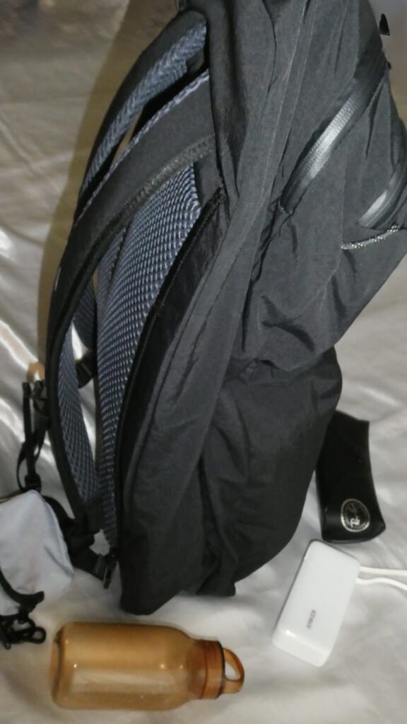 Bellroy Lite Travel Pack 38L