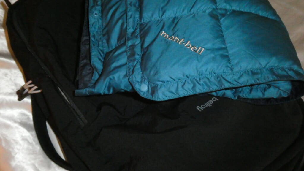 Bellroy Lite Travel Pack 38L