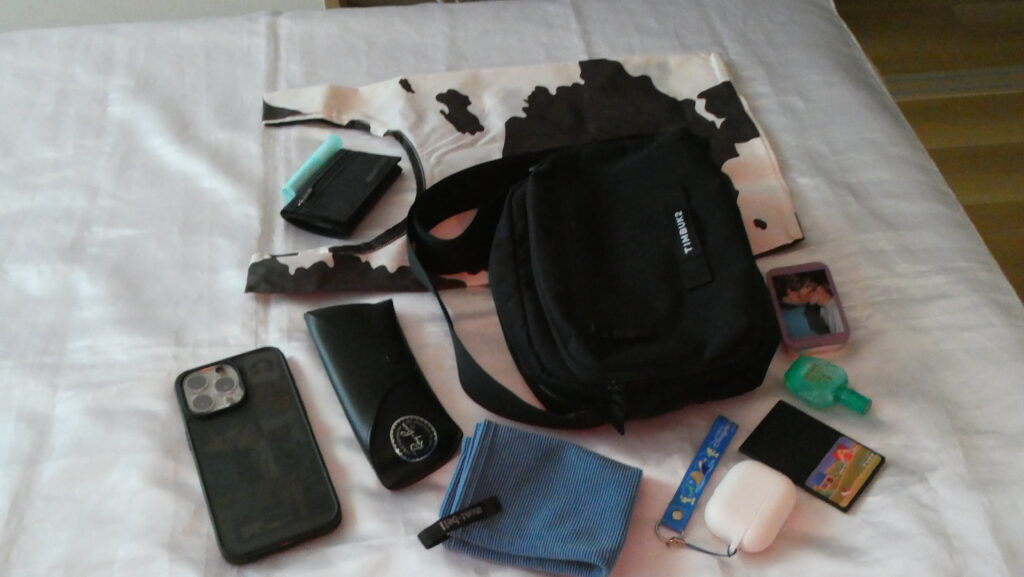 TIMBUK2 Flight Crossbody Satchel
